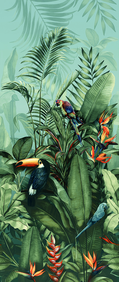 Carioca A Naturale R9 Rett._0