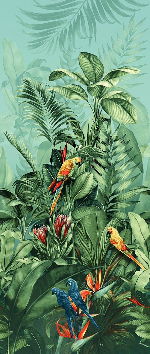 Carioca B Naturale R9 Rett._0