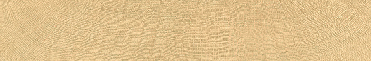 Oak Naturale R10 Rett._0