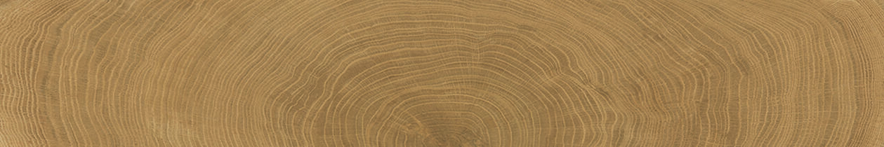 Walnut Naturale R10 Rett._0